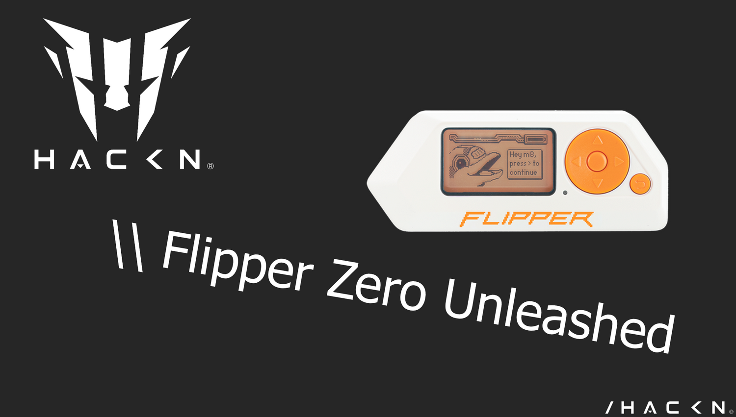 Flipper Zero Unleashed – WiFi Training