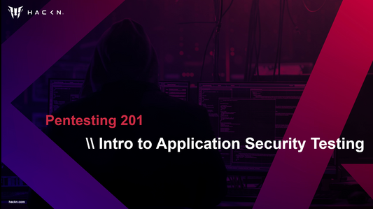 Pentesting 201 - Introduction to Application Security Testing